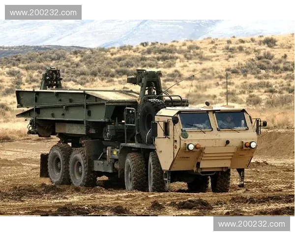 深度解析风暴英雄增强萨最新战术与装备搭配全面攻略指南详解版集